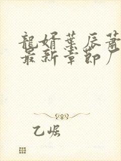 龙婿叶辰萧初然最新章节厂