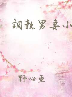 调教男妻小说