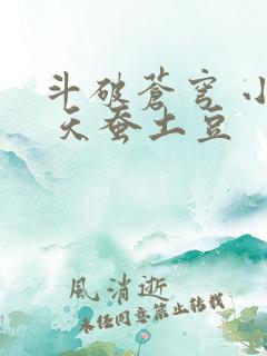 斗破苍穹 小说 天蚕土豆