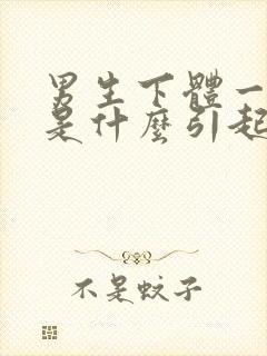 男生下体一直痒是什么引起的