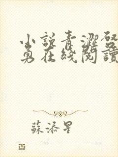 小说青涩启蒙张勇在线阅读