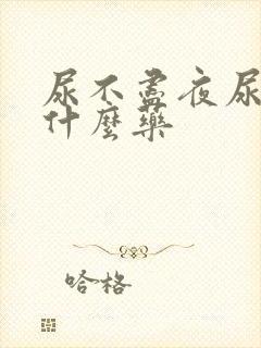 尿不尽夜尿多吃什么药