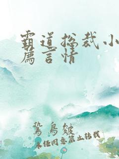 霸道总裁小说推荐言情