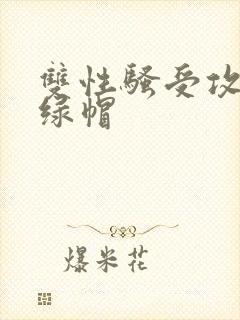 双性骚受攻出轨绿帽