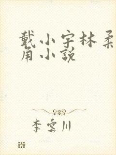 戴小宇林柔清主角小说