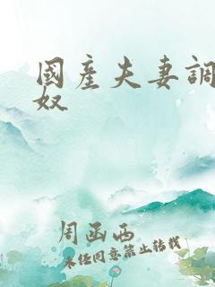 国产夫妻调教男奴