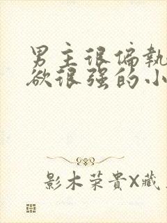 男主很偏执占有欲很强的小说