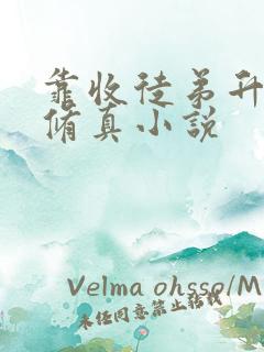 靠收徒弟升级的修真小说