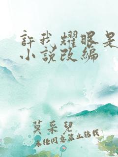 许我耀眼是哪个小说改编