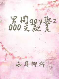 男同gay与z000交欧美