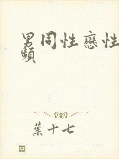 男同性恋性恋视频