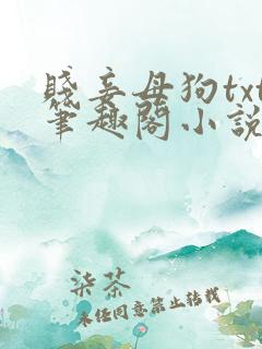 贱妾母狗txt笔趣阁小说