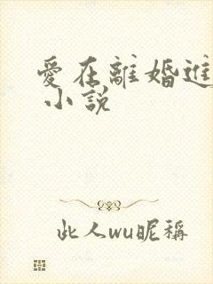 爱在离婚进行时 小说