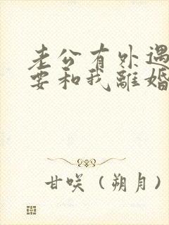 老公有外遇了非要和我离婚怎么办