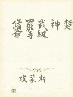 修罗武神楚枫爷爷等级