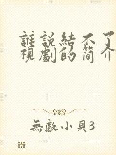 谁说结不了婚电视剧的简介