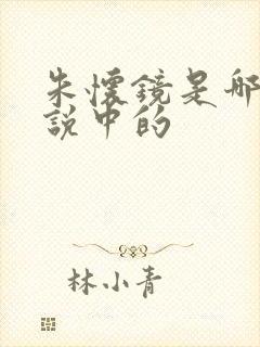 朱怀镜是哪部小说中的