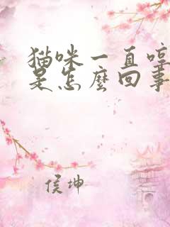 猫咪一直哼哼哼是怎么回事