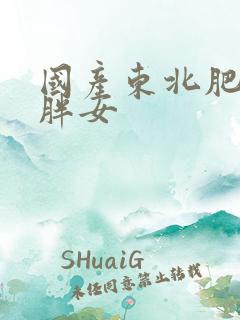 国产东北肥熟老胖女