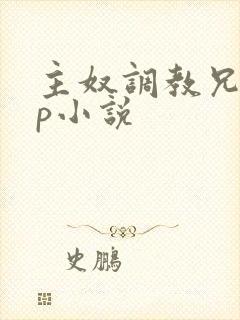 主奴调教兄弟np小说