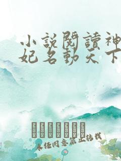 小说阅读神医傻妃名动天下