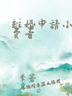 离婚申请小说免费看