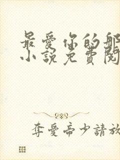 最爱你的那十年小说免费阅读