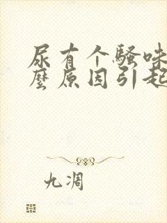 尿有个骚味是什么原因引起的