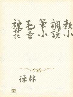 被毛笔调教玩弄花蒂小说小说