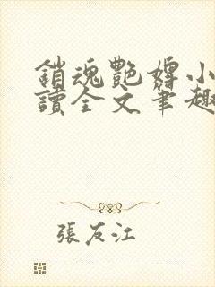 销魂艳婢小说阅读全文笔趣