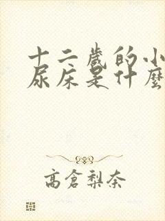 十二岁的小孩还尿床是什么原因