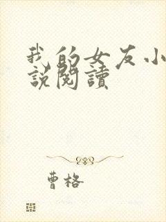 我的女友小依小说阅读