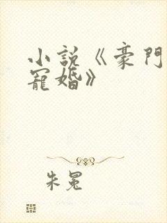 小说《豪门第一宠婚》