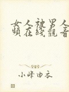 女人被男人插视频在线观看