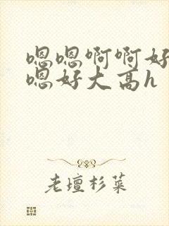 嗯嗯啊啊好爽嗯嗯好大高h