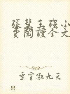 张慧王强小说免费阅读全文最新章节