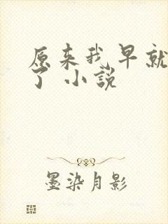 原来我早就无敌了 小说