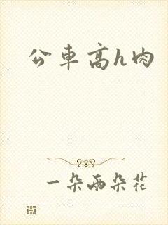 公车高h肉