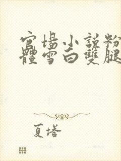 官场小说粉嫩胴体雪白双腿云雨