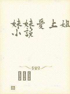 妹妹爱上姐夫的小说