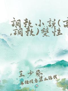 调教小说(高h,调教)双性