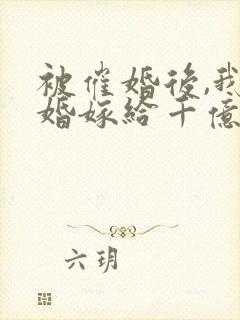 被催婚后,我闪婚嫁给千亿大佬完结版