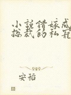 小说错嫁成婚:总裁的私宠甜妻