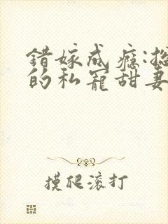 错嫁成瘾:总裁的私宠甜妻