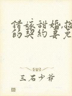 错嫁甜婚,总裁的契约妻免费