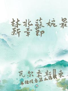 林北苏婉最新更新章节