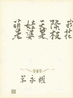 萌娃天降 我的老婆是校花短剧