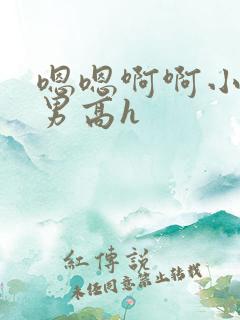 嗯嗯啊啊小说男男高h