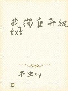 我独自升级原著txt