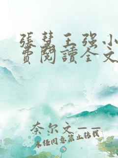 张慧王强小说免费阅读全文最新章节